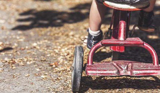 ДЕТЕ СЪС СПЕЦИАЛНИ ОБРАЗОВАТЕЛНИ ПОТРЕБНОСТИ В СЕМЕЙСТВОТО