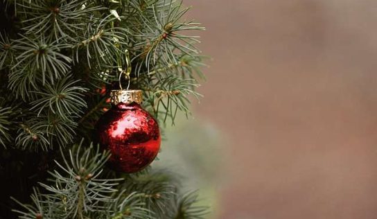 САЙТЪТ WWW.IDEAIST.EU ВИ ПОЖЕЛАВА ВЕСЕЛА КОЛЕДА И ЩАСТЛИВА НОВА ГОДИНА